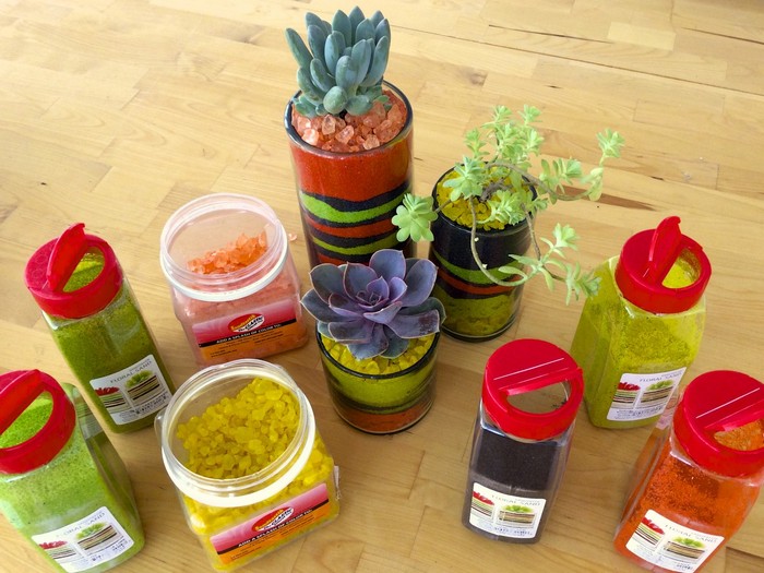 How to make a Desktop Succulent Garden 13